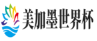 顺达世界杯